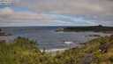./images/calvert/foggy-cove/20250714/foggy-cove20250714_100507M.jpg