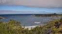 ./images/calvert/foggy-cove/20250714/foggy-cove20250714_104510M.jpg