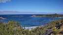 ./images/calvert/foggy-cove/20250714/foggy-cove20250714_110010M.jpg