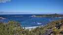 ./images/calvert/foggy-cove/20250714/foggy-cove20250714_111011M.jpg