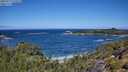 ./images/calvert/foggy-cove/20250714/foggy-cove20250714_115510M.jpg