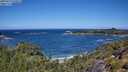 ./images/calvert/foggy-cove/20250714/foggy-cove20250714_120011M.jpg