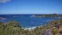 ./images/calvert/foggy-cove/20250714/foggy-cove20250714_122009M.jpg