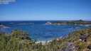 ./images/calvert/foggy-cove/20250714/foggy-cove20250714_122510M.jpg