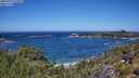 ./images/calvert/foggy-cove/20250714/foggy-cove20250714_124011M.jpg