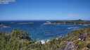 ./images/calvert/foggy-cove/20250714/foggy-cove20250714_131511M.jpg