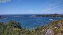./images/calvert/foggy-cove/20250714/foggy-cove20250714_151011M.jpg