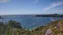./images/calvert/foggy-cove/20250714/foggy-cove20250714_165508M.jpg