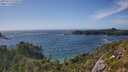 ./images/calvert/foggy-cove/20250714/foggy-cove20250714_170509M.jpg