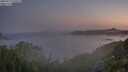 ./images/calvert/foggy-cove/20250715/foggy-cove20250715_050509M.jpg
