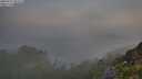 ./images/calvert/foggy-cove/20250715/foggy-cove20250715_052508M.jpg