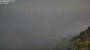 ./images/calvert/foggy-cove/20250715/foggy-cove20250715_054508M.jpg