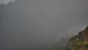 ./images/calvert/foggy-cove/20250715/foggy-cove20250715_055508M.jpg