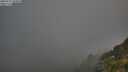 ./images/calvert/foggy-cove/20250715/foggy-cove20250715_060010M.jpg
