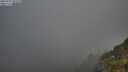 ./images/calvert/foggy-cove/20250715/foggy-cove20250715_060509M.jpg