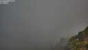 ./images/calvert/foggy-cove/20250715/foggy-cove20250715_061010M.jpg