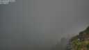 ./images/calvert/foggy-cove/20250715/foggy-cove20250715_062009M.jpg