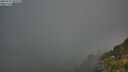 ./images/calvert/foggy-cove/20250715/foggy-cove20250715_062510M.jpg