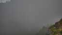 ./images/calvert/foggy-cove/20250715/foggy-cove20250715_064010M.jpg