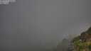 ./images/calvert/foggy-cove/20250715/foggy-cove20250715_065010M.jpg