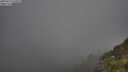 ./images/calvert/foggy-cove/20250715/foggy-cove20250715_070009M.jpg