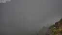 ./images/calvert/foggy-cove/20250715/foggy-cove20250715_070509M.jpg