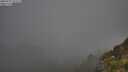 ./images/calvert/foggy-cove/20250715/foggy-cove20250715_071509M.jpg