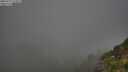 ./images/calvert/foggy-cove/20250715/foggy-cove20250715_072009M.jpg