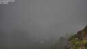 ./images/calvert/foggy-cove/20250715/foggy-cove20250715_072508M.jpg