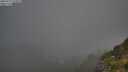 ./images/calvert/foggy-cove/20250715/foggy-cove20250715_073010M.jpg