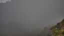 ./images/calvert/foggy-cove/20250715/foggy-cove20250715_074010M.jpg