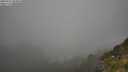 ./images/calvert/foggy-cove/20250715/foggy-cove20250715_084010M.jpg