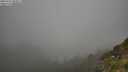 ./images/calvert/foggy-cove/20250715/foggy-cove20250715_084511M.jpg