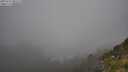 ./images/calvert/foggy-cove/20250715/foggy-cove20250715_085509M.jpg