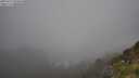 ./images/calvert/foggy-cove/20250715/foggy-cove20250715_090010M.jpg