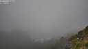 ./images/calvert/foggy-cove/20250715/foggy-cove20250715_090509M.jpg