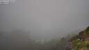 ./images/calvert/foggy-cove/20250715/foggy-cove20250715_091009M.jpg