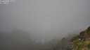 ./images/calvert/foggy-cove/20250715/foggy-cove20250715_091508M.jpg