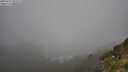 ./images/calvert/foggy-cove/20250715/foggy-cove20250715_092009M.jpg