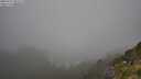 ./images/calvert/foggy-cove/20250715/foggy-cove20250715_092508M.jpg