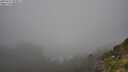 ./images/calvert/foggy-cove/20250715/foggy-cove20250715_093011M.jpg