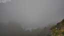 ./images/calvert/foggy-cove/20250715/foggy-cove20250715_093511M.jpg