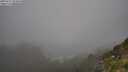 ./images/calvert/foggy-cove/20250715/foggy-cove20250715_094010M.jpg
