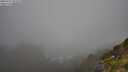 ./images/calvert/foggy-cove/20250715/foggy-cove20250715_094509M.jpg