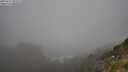./images/calvert/foggy-cove/20250715/foggy-cove20250715_095009M.jpg