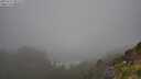 ./images/calvert/foggy-cove/20250715/foggy-cove20250715_095510M.jpg