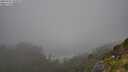 ./images/calvert/foggy-cove/20250715/foggy-cove20250715_100011M.jpg