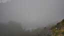 ./images/calvert/foggy-cove/20250715/foggy-cove20250715_100510M.jpg