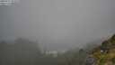 ./images/calvert/foggy-cove/20250715/foggy-cove20250715_101010M.jpg
