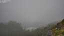 ./images/calvert/foggy-cove/20250715/foggy-cove20250715_101510M.jpg